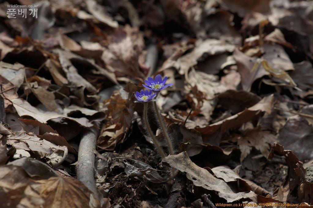 DSC04191.JPG : 날씨 좋은날