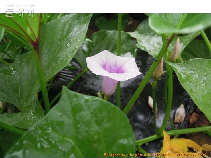 2020-08-16 22,05,09.jpg