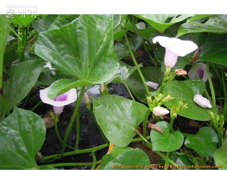 2020-08-16 22,05,23.jpg