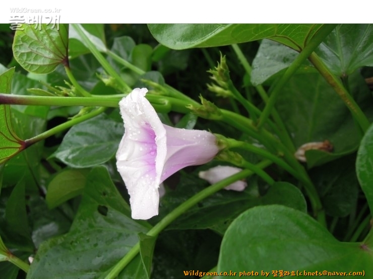 2020-08-16 22,04,54.jpg