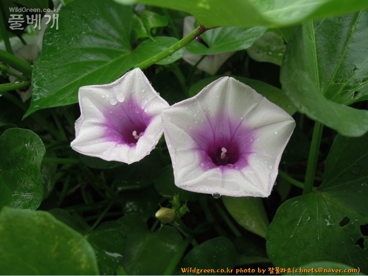 2020-08-16 22,04,41.jpg