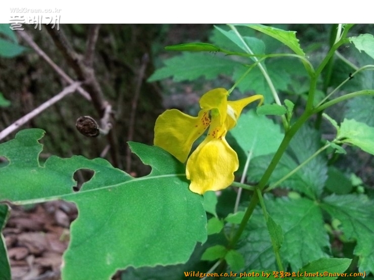 2020-08-16 22,08,13.jpg