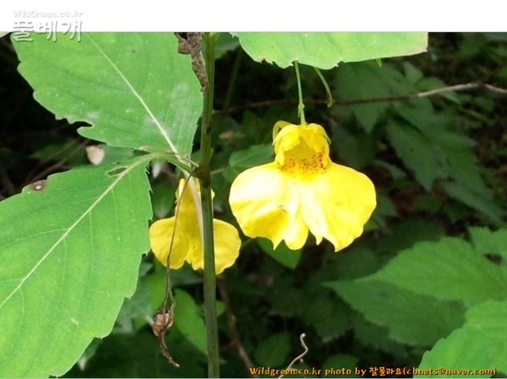 2020-08-16 22,07,52.jpg