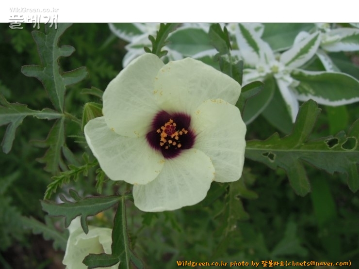 2020-08-16 22,09,04.jpg