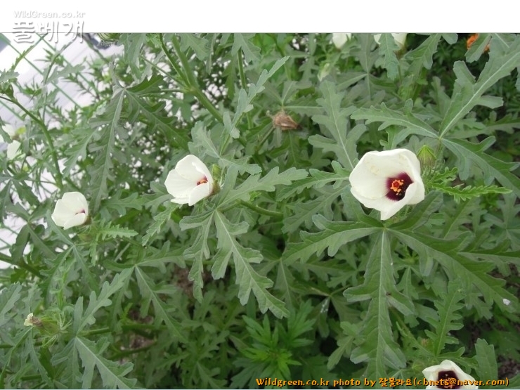 2020-08-16 22,09,35.jpg