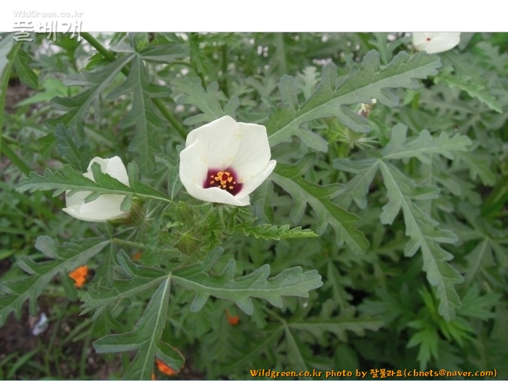 2020-08-16 22,09,25.jpg