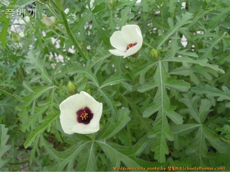 2020-08-16 22,08,50.jpg