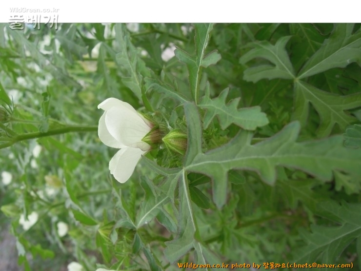 2020-08-16 22,09,15.jpg