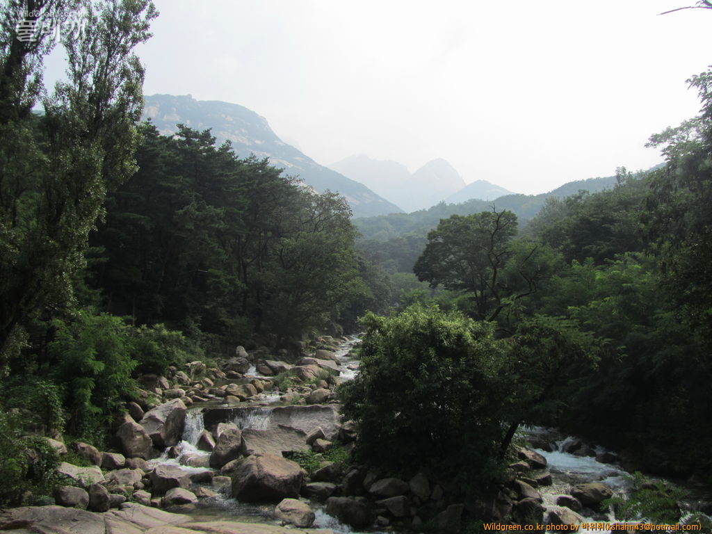 005.JPG : 북한산의 늦여름