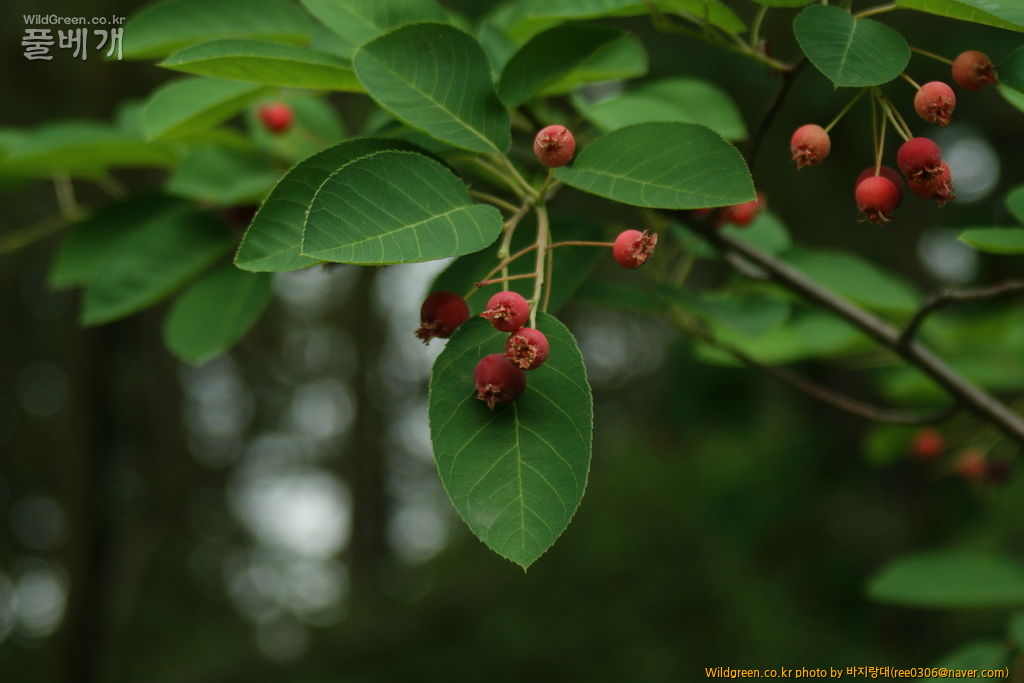 DSC07762.JPG : 진짜 멍일까?