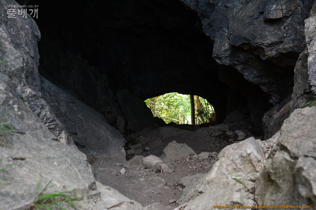 DSC_1207-1.jpg : 엊그제........... DSC_1207-1.jpg : 엊그제...........