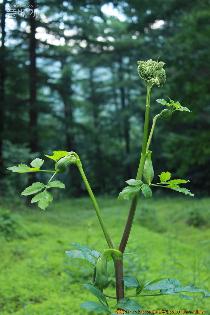 IMG_2128.JPG : 금오산에서