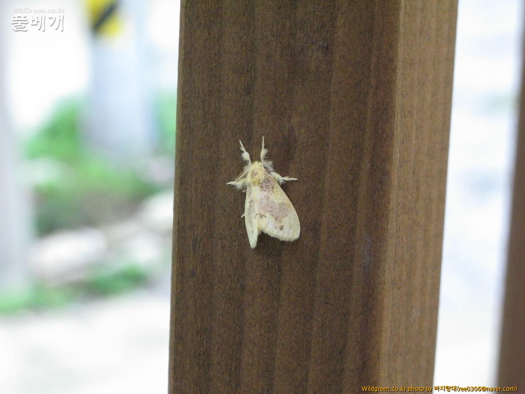 20120606 193.jpg : 밤동무들