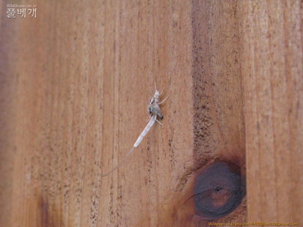 20120606 177.jpg : 밤동무들