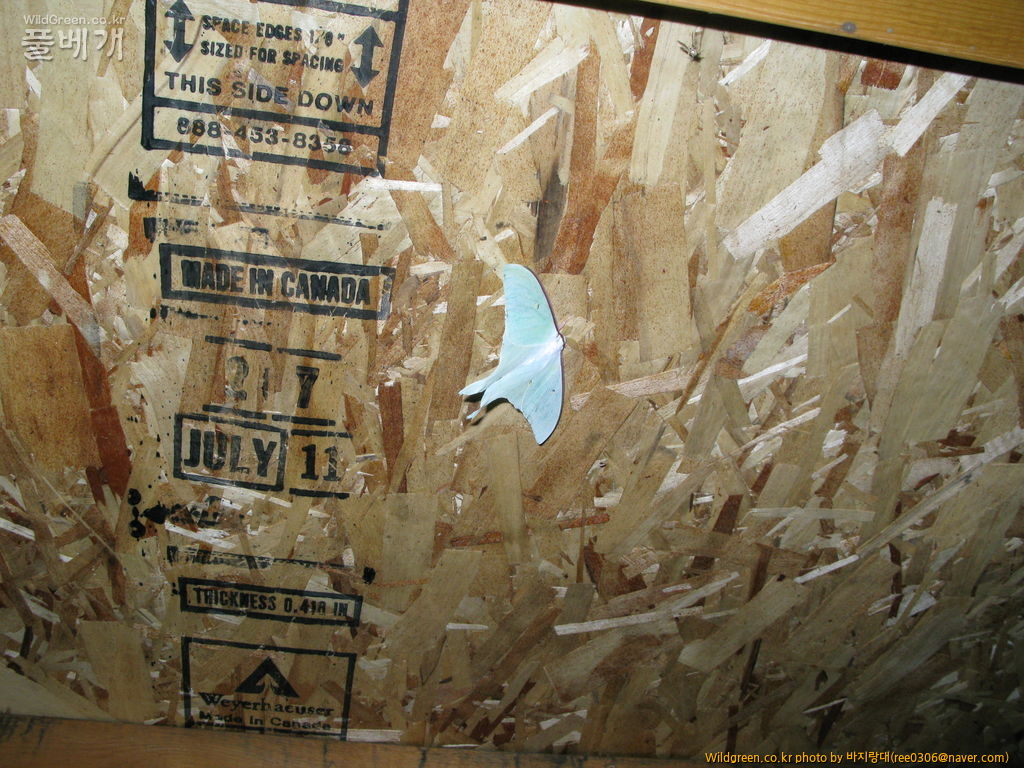 20120606 161.jpg : 밤동무들