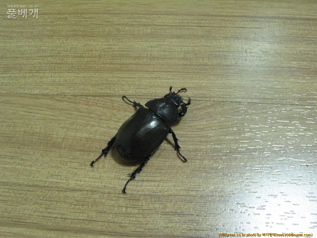 20120606 156.jpg : 밤동무들