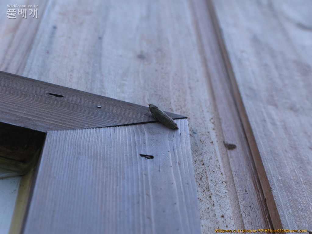 20120606 182.jpg : 밤동무2