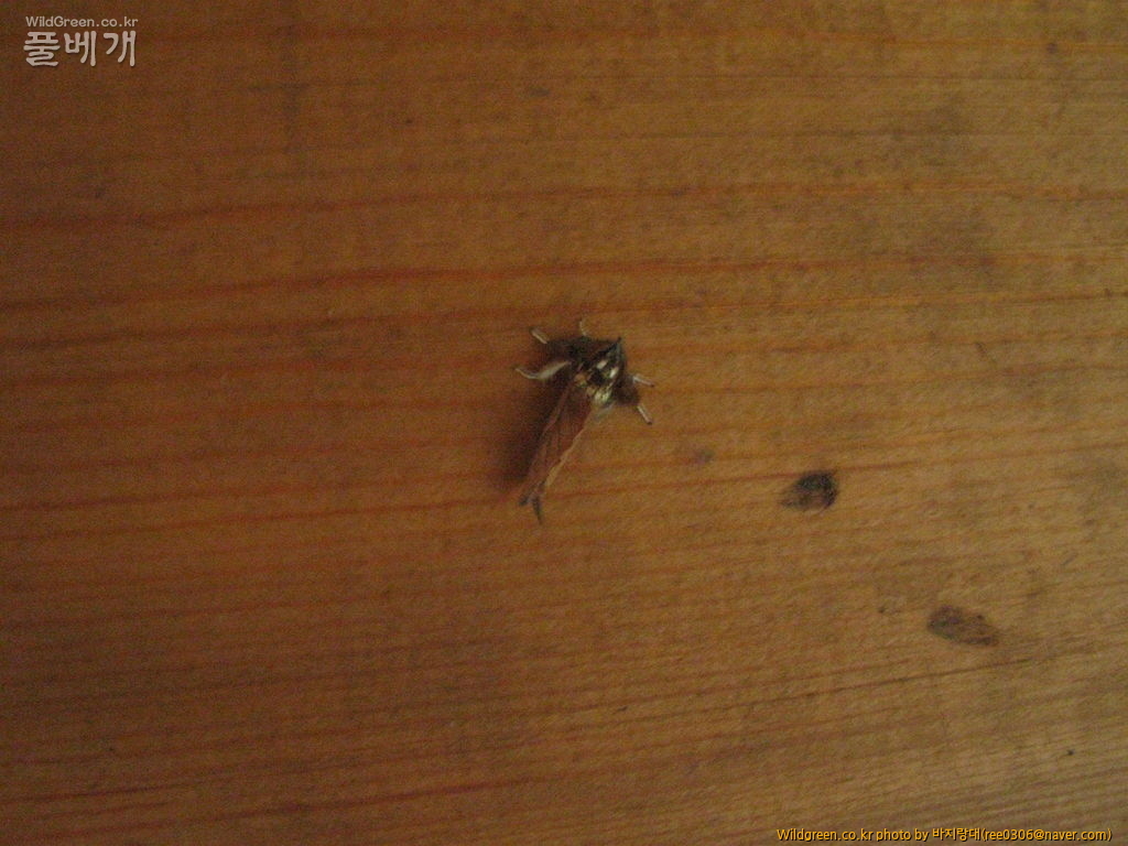 20120606 187.jpg : 밤동무2