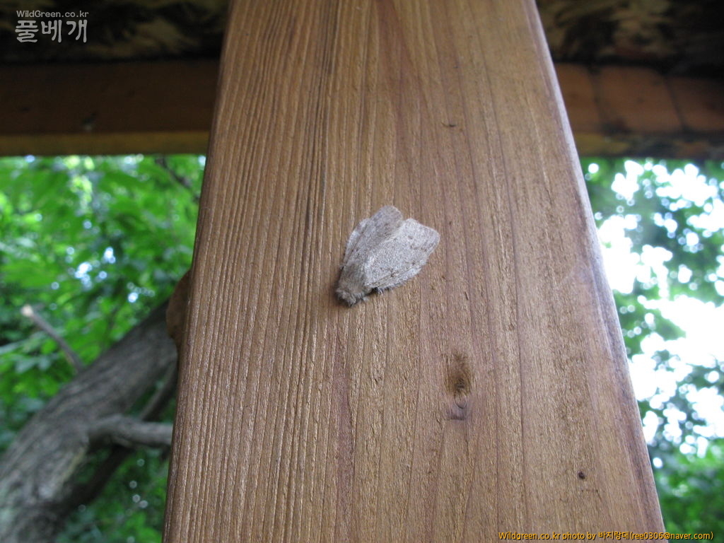 20120606 227.jpg : 밤동무3