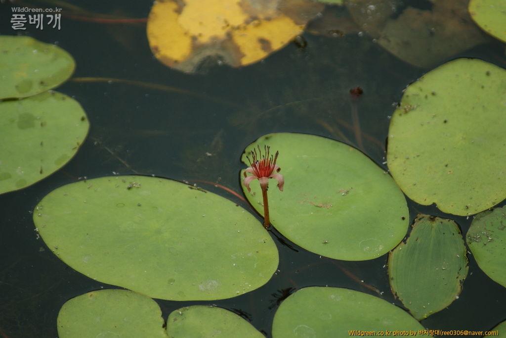 DSC00136.JPG : 자연의 오페라