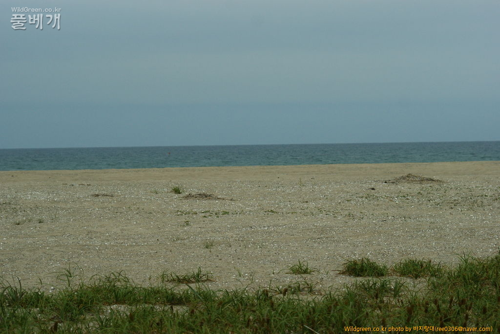 DSC00162.JPG : 자연의 오페라