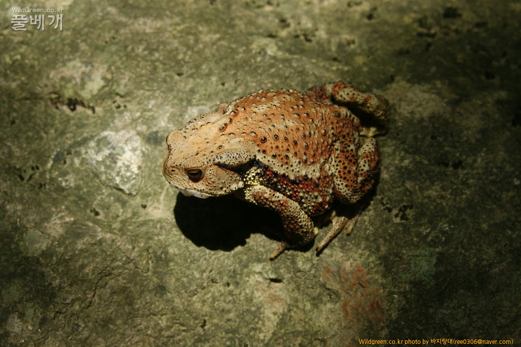 DSC00233.JPG : 상서로운 조짐이.............