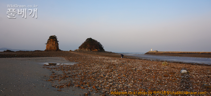 DSC05712-새벽을 줍다.jpg : 썰물 진 바다 DSC05712-새벽을 줍다.jpg : 썰물 진 바다