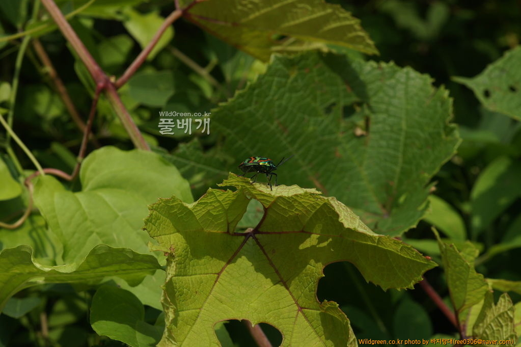 DSC00469.JPG : 무제