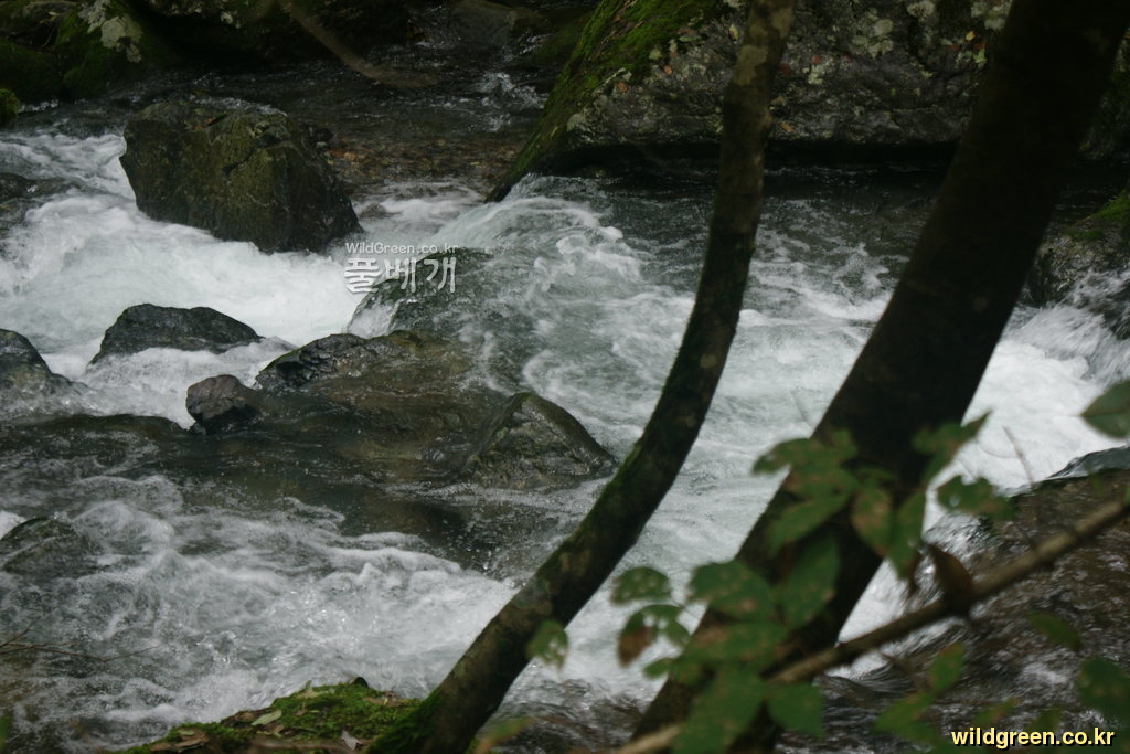 DSC04791.JPG : 몽불랑님의 얼음골