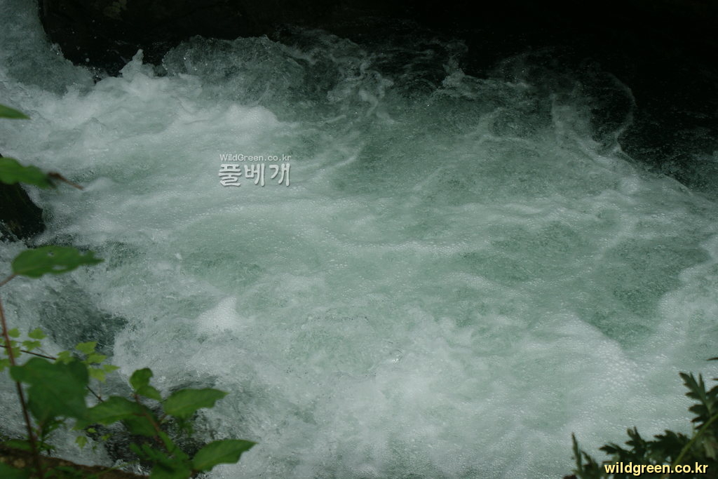 DSC04650.JPG : 몽불랑님의 얼음골