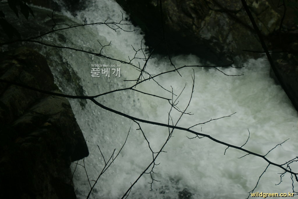 DSC04823.JPG : 몽불랑님의 얼음골