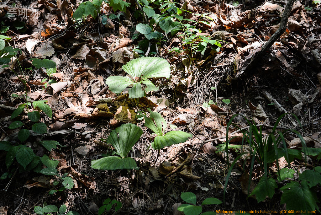DSC_9820-1.jpg : 아직도 이런곳이............ DSC_9820-1.jpg : 아직도 이런곳이............