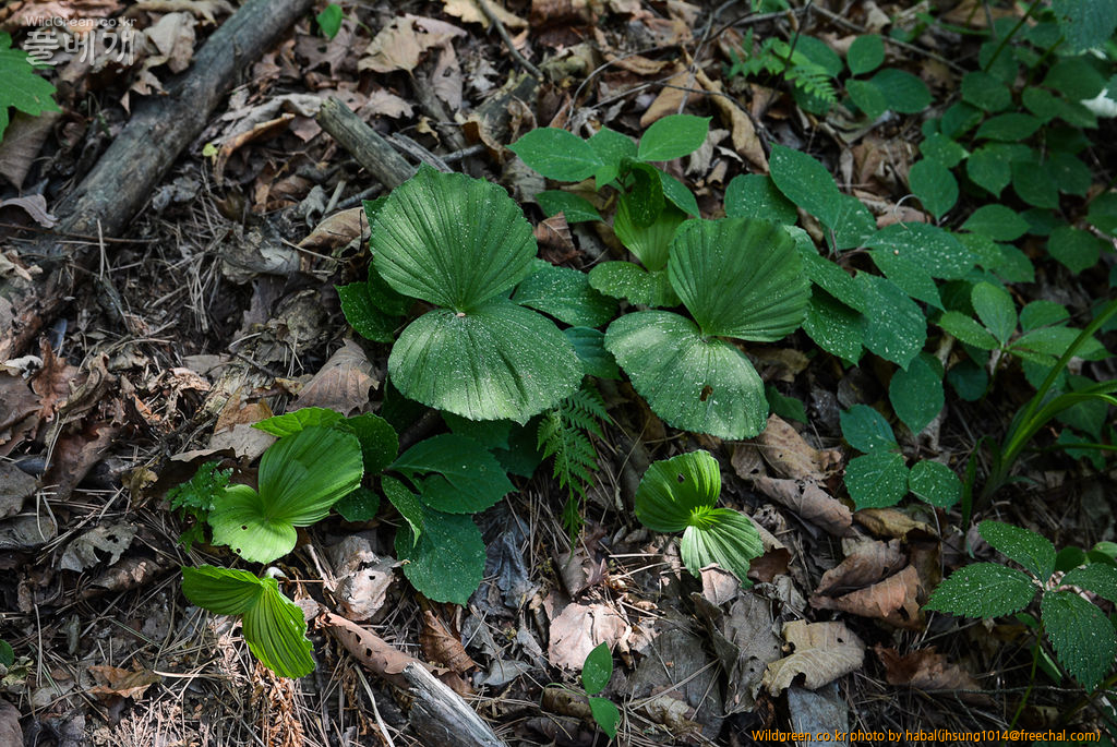 DSC_9823-1.jpg : 아직도 이런곳이............ DSC_9823-1.jpg : 아직도 이런곳이............