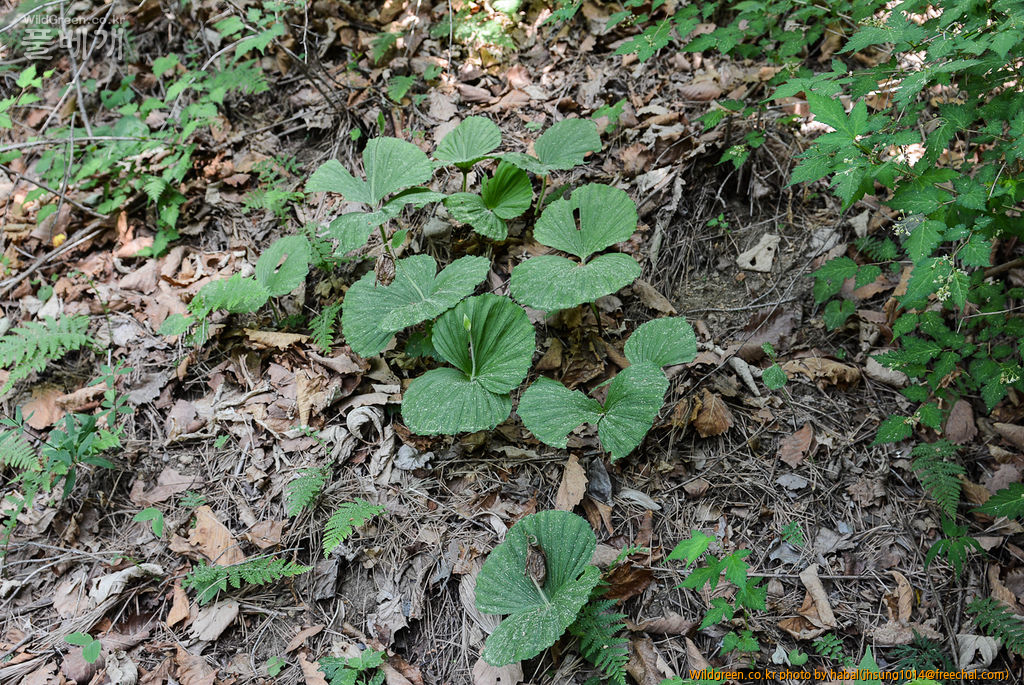 DSC_9824-1.jpg : 아직도 이런곳이............ DSC_9824-1.jpg : 아직도 이런곳이............