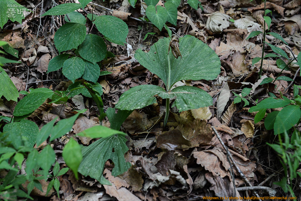 DSC_9816-1.jpg : 아직도 이런곳이............ DSC_9816-1.jpg : 아직도 이런곳이............