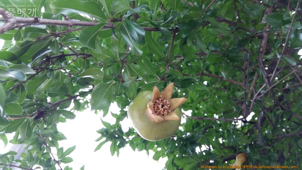 20150627_140726 계족로389번길10.jpg