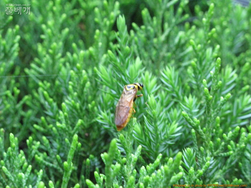 20120606 194.jpg : 밤동무4 20120606 194.jpg : 밤동무4