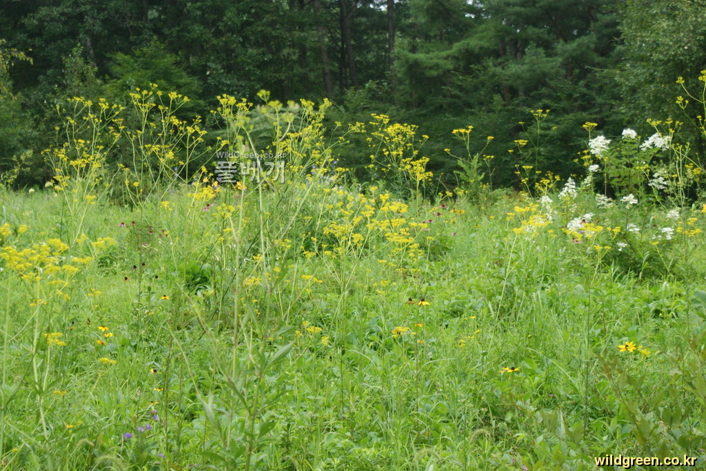 DSC04420.JPG : 즐겁게 놀자