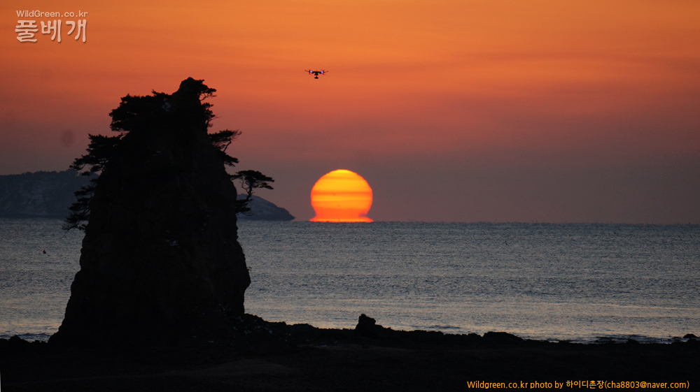 DSC06379-꽃지.jpg : 안면도 일몰 DSC06379-꽃지.jpg : 안면도 일몰