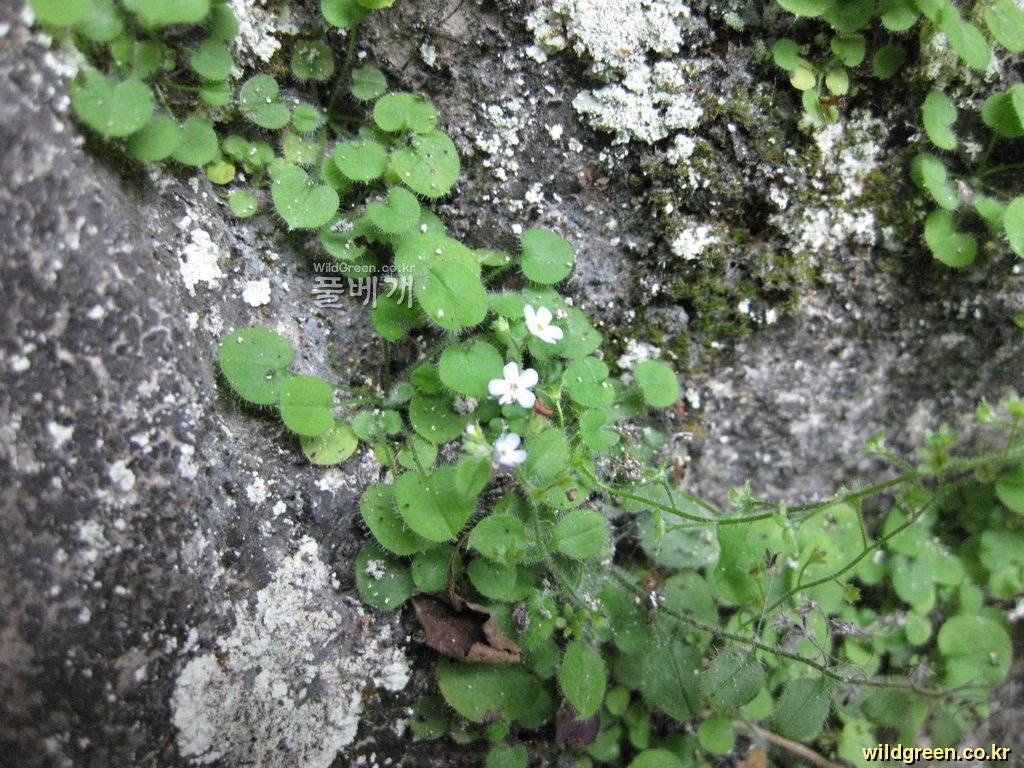 20110707 060.jpg : 날씨가 너무 좋아 어떻게 할까요? 20110707 060.jpg : 날씨가 너무 좋아 어떻게 할까요?