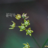 산해박(Cynanchum paniculatum (Bunge) Kitag. ex H.Hara) : 바지랑대