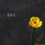 남개연꽃 : johan(조한)