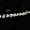미선나무(Abeliophyllum distichum Nakai) : 塞翁之馬